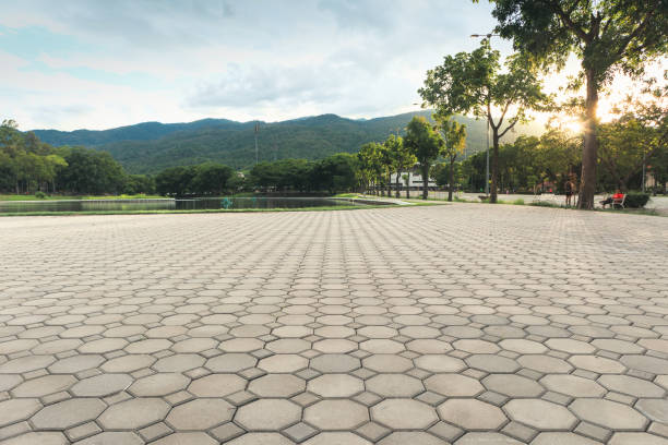 Best Interlocking Driveway Pavers  in Glen Ellyn, IL